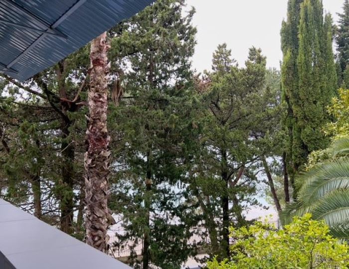 ЛЮКС 2-МЕСТНЫЙ 2-КОМНАТНЫЙ - Отель «Жоэквара»