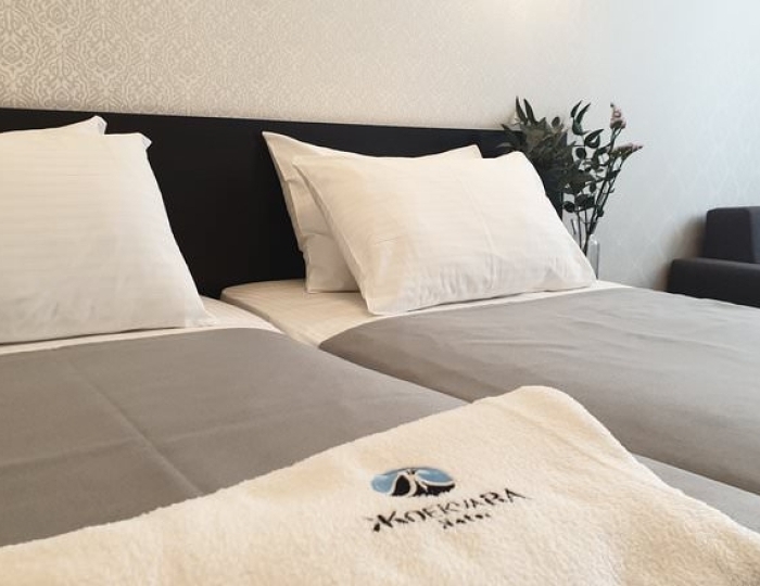 СТАНДАРТНЫЙ 2-МЕСТНЫЙ КОМФОРТ (БЕЗ БАЛКОНА) - Отель «Жоэквара»